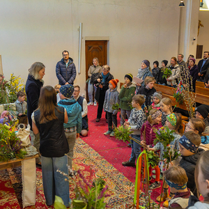 Palmsonntag / Foto Haijes Palmsonntag Pfarre Kirchdorf an der Krems
