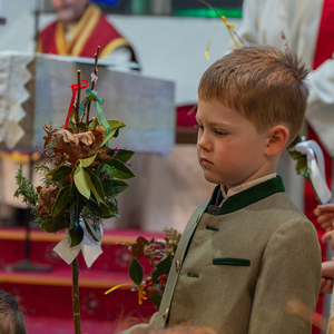 Palmsonntag / Foto Haijes Palmsonntag Pfarre Kirchdorf an der Krems