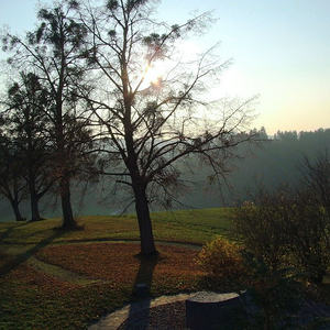 PGR Klausur