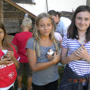 Minilager 2012