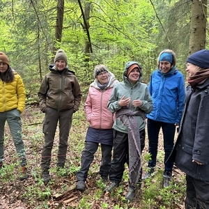 WaldWE